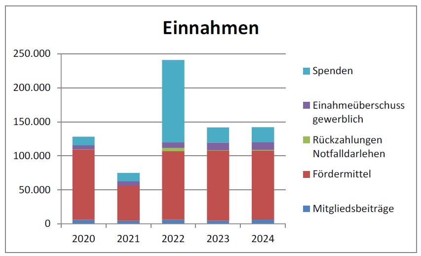 Grafik Einnahmen 2025 als balkendiagramm